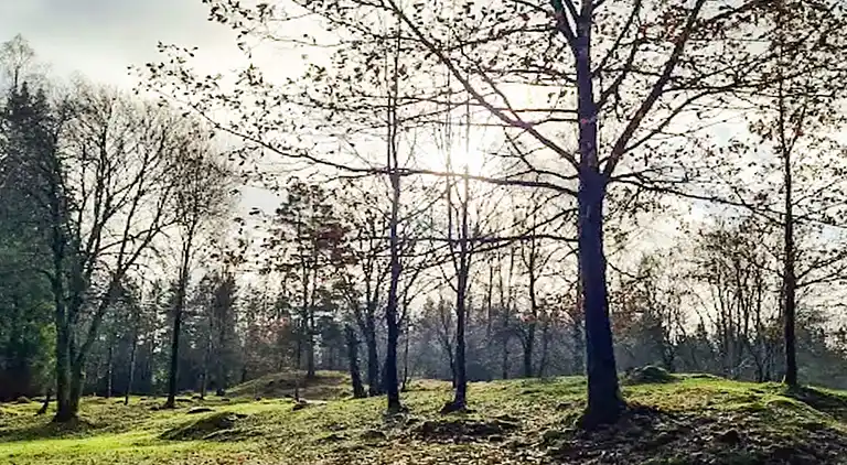 Holiday home in Borås