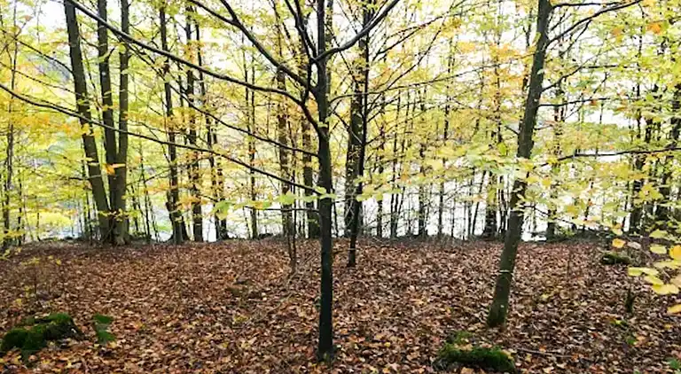 Holiday home in Borås