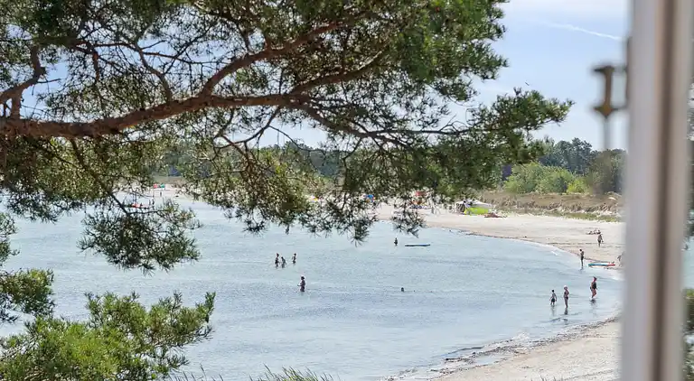 Panoramablick und Dänemarks bester Strand
