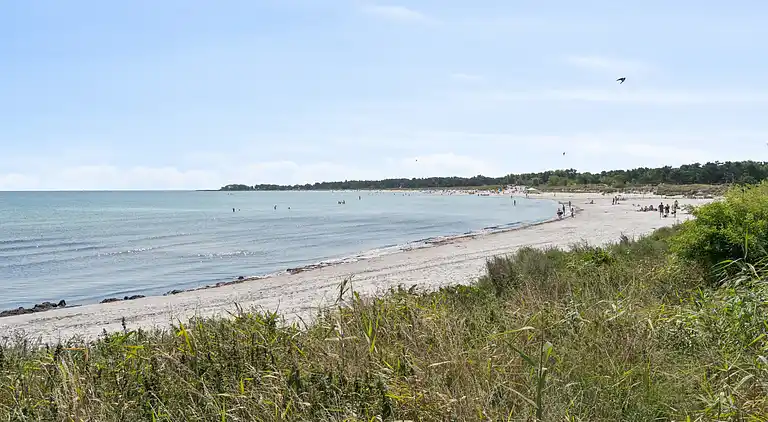 Panoramablick und Dänemarks bester Strand