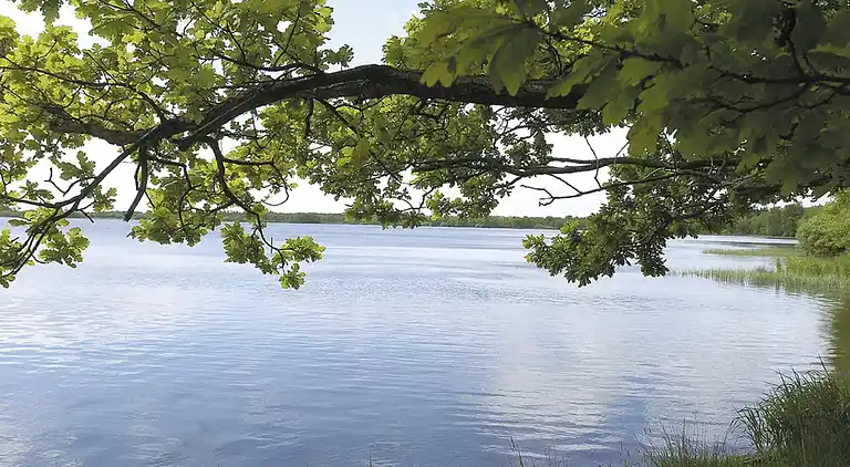 Holiday home in Kvie Sø