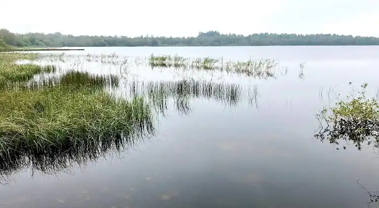 Holiday home in Kvie Sø