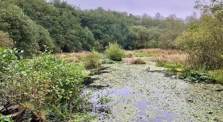 Holiday home in Kvie Sø