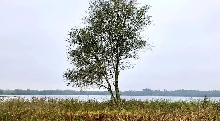 Holiday home in Kvie Sø
