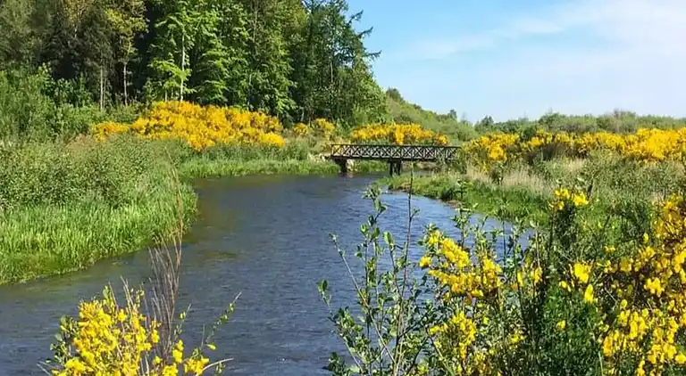 Holiday home in Kvie Sø