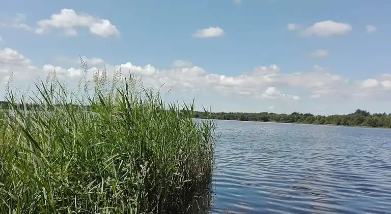 Holiday home in Kvie Sø