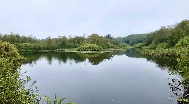 Holiday home in Kvie Sø
