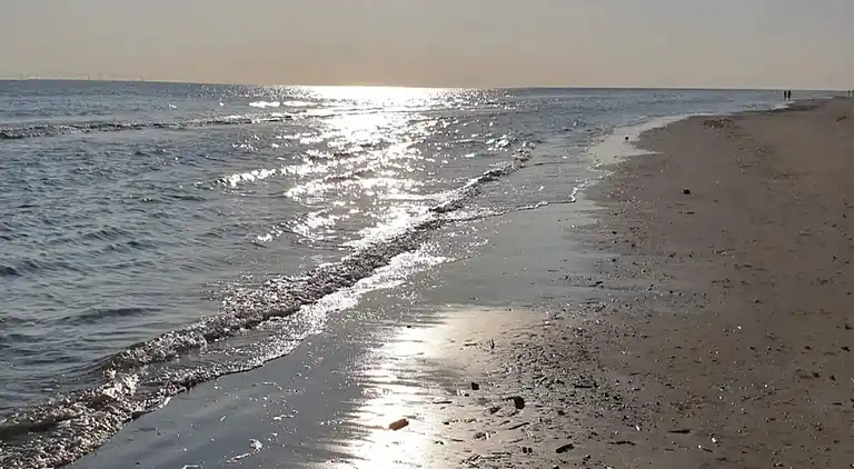 Sommerhus i Blåvand