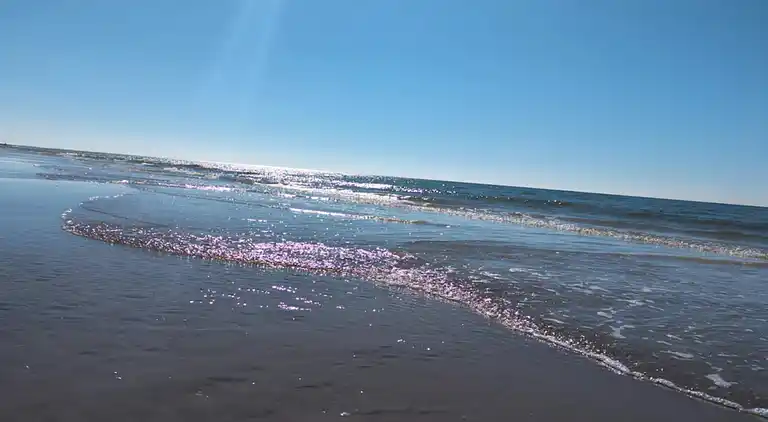 Sommerhus i Blåvand
