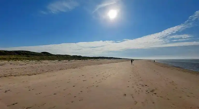 Sommerhus i Blåvand