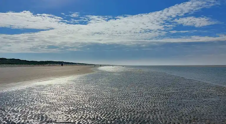 Sommerhus i Blåvand