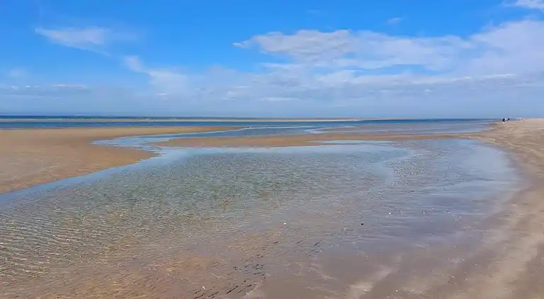 Sommerhus i Blåvand