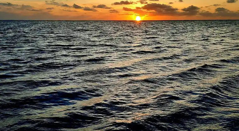 Sommerhus i Blåvand