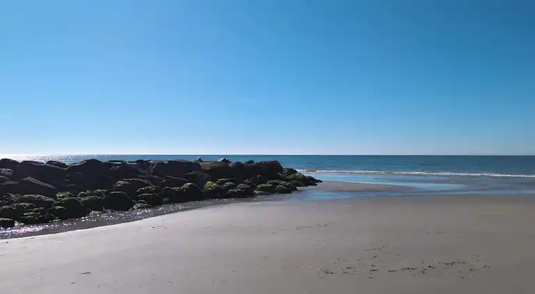 Sommerhus i Blåvand