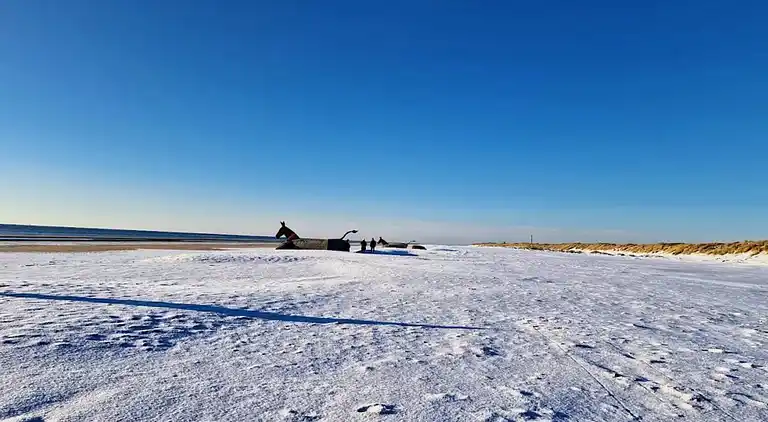 Sommerhus i Blåvand