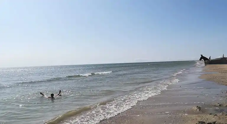 Sommerhus i Blåvand