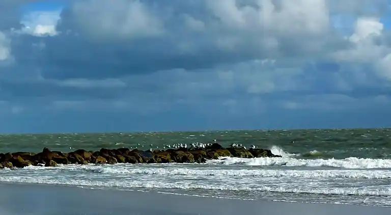 Sommerhus i Blåvand