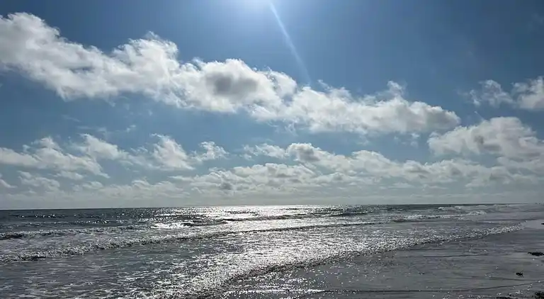 Sommerhus i Blåvand