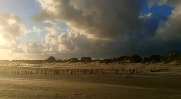 Sommerhus i Blåvand