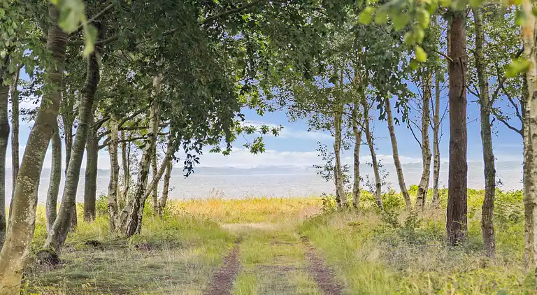 Gemütliches Ferienhaus in Strandnähe