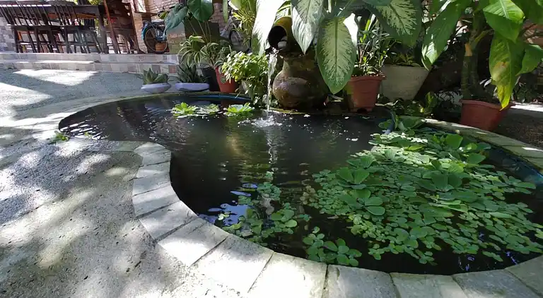 Enseada dos Corais, Cabo de Santo Agostinho, Pernambuco,