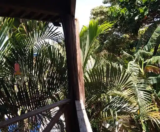 Enseada dos Corais, Cabo de Santo Agostinho, Pernambuco,