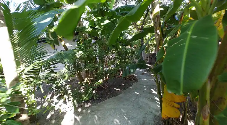 Enseada dos Corais, Cabo de Santo Agostinho, Pernambuco,