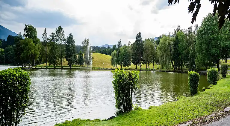 Apartment in Saalfelden