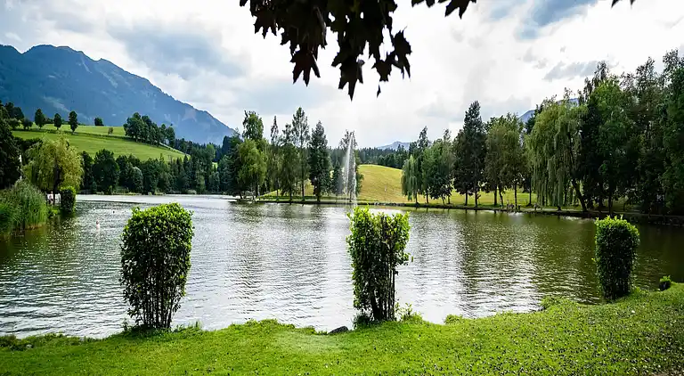 Apartment in Saalfelden