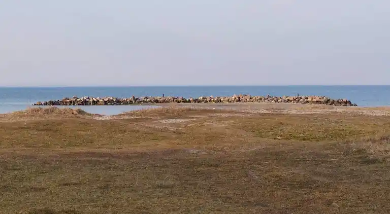 Holiday home in Vejlby Fed