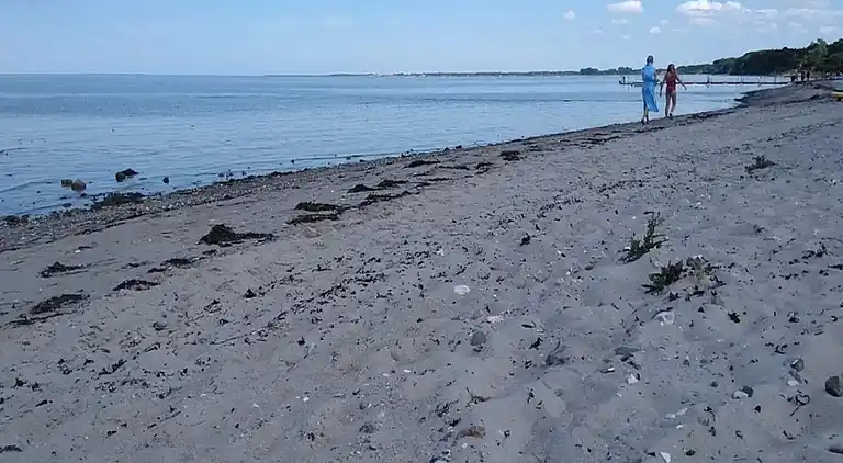 Holiday home in Vejlby Fed