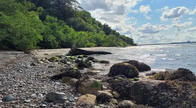 Holiday home in Vejlby Fed