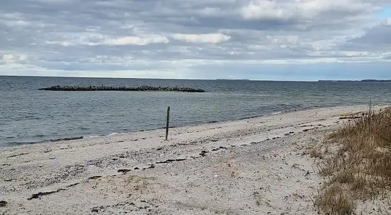 Holiday home in Vejlby Fed