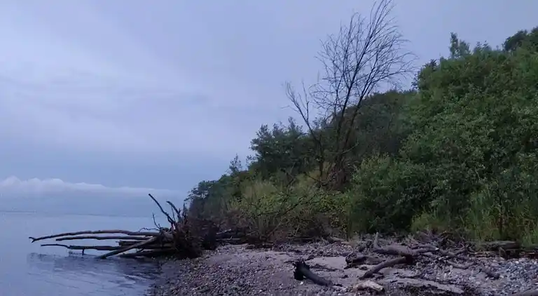 Holiday home in Vejlby Fed