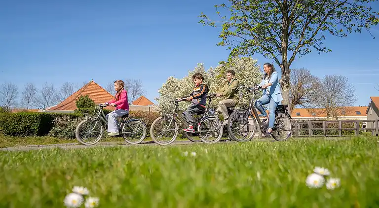 Sommerhus i Noordwelle