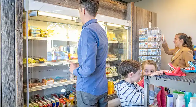 Sommerhus i Noordwelle