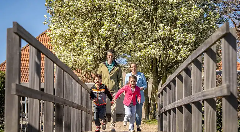 vakantiehuis in Noordwelle