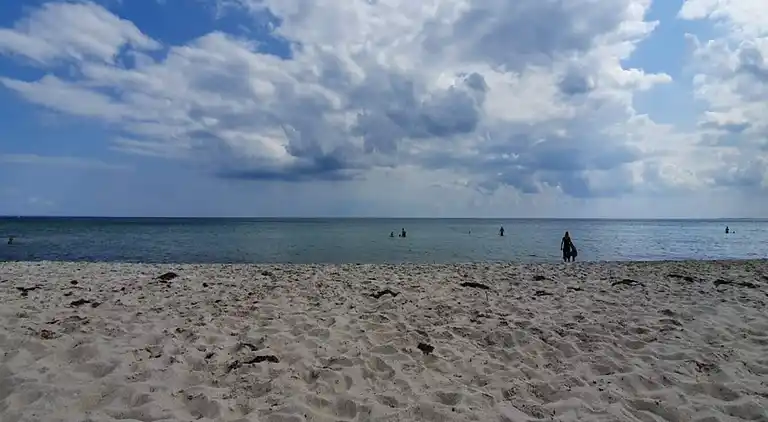 Sommerhus i Skovmose