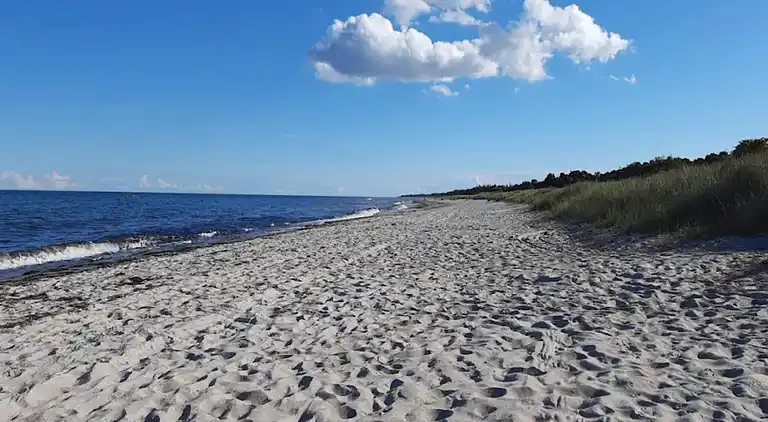 Semesterbostad i Væggerløse