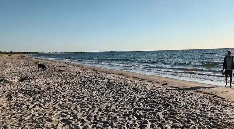 Semesterbostad i Væggerløse