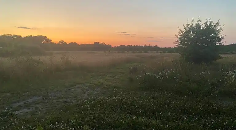 Ferie på eventyrlig naturgrund for børnefamilien