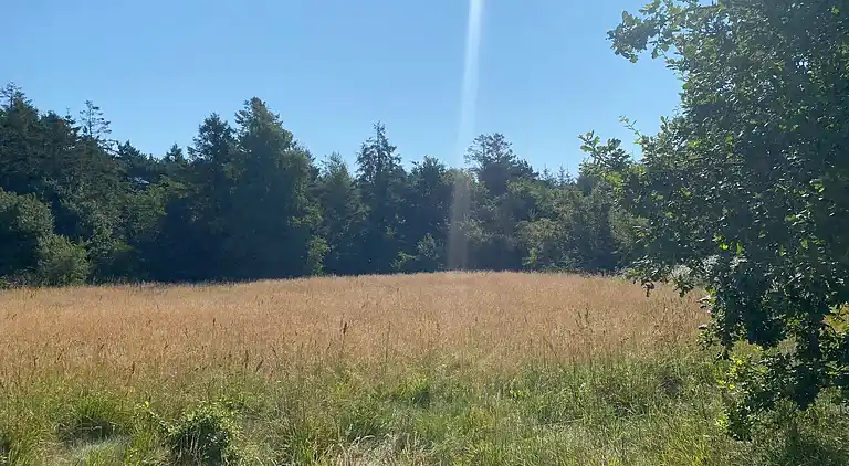 Ferie på eventyrlig naturgrund for børnefamilien