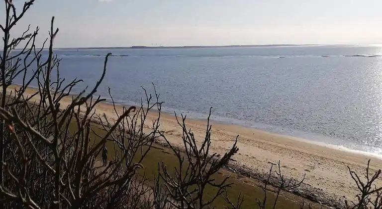 Holiday home in Esbjerg V