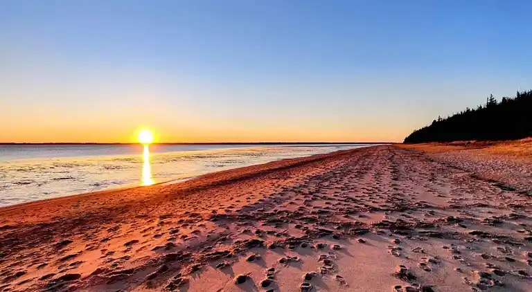 Holiday home in Esbjerg V