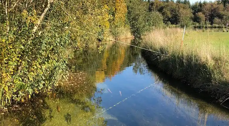 Sommerhus i Branderup J