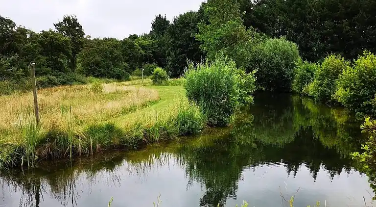 Sommerhus i Branderup J