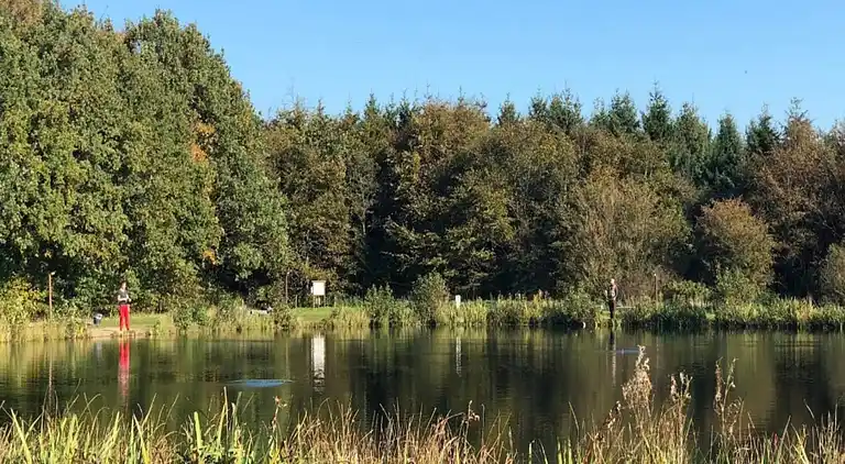 Sommerhus i Branderup J