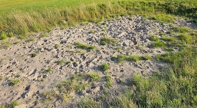 Sommerhus i Branderup J