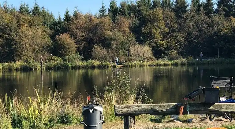 Sommerhus i Branderup J