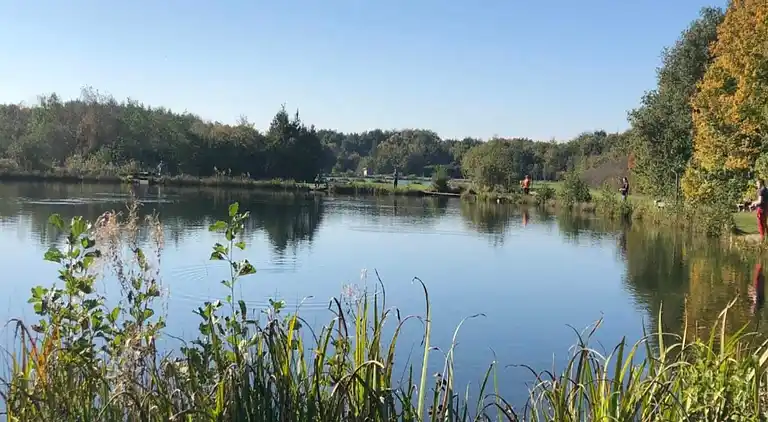 Sommerhus i Branderup J